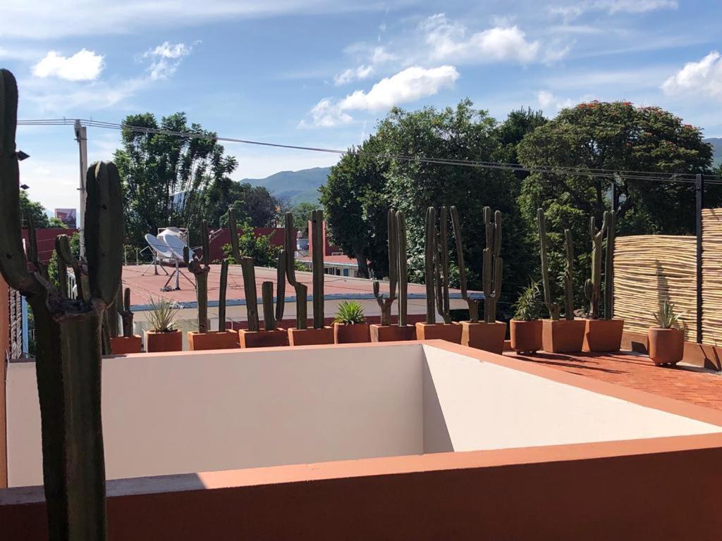 Casa Cronica Apartment Oaxaca Ngoại thất bức ảnh